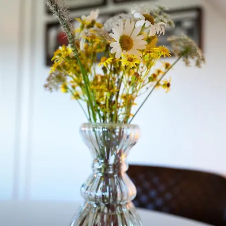 Greenhell Lägenhet *